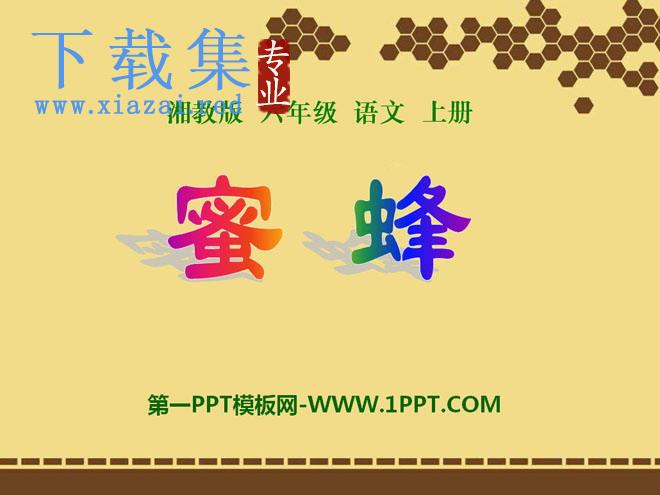 《蜜蜂》PPT课件5