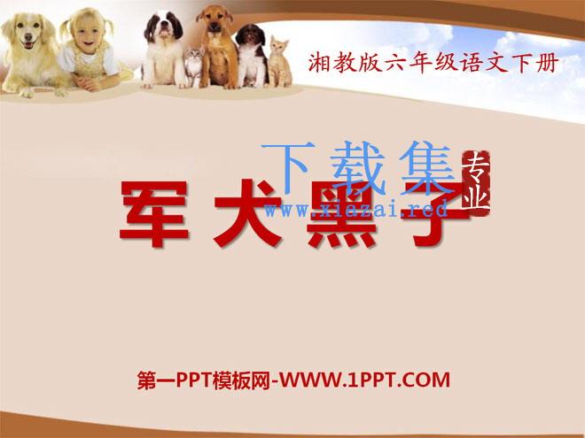 《军犬黑子》PPT课件2