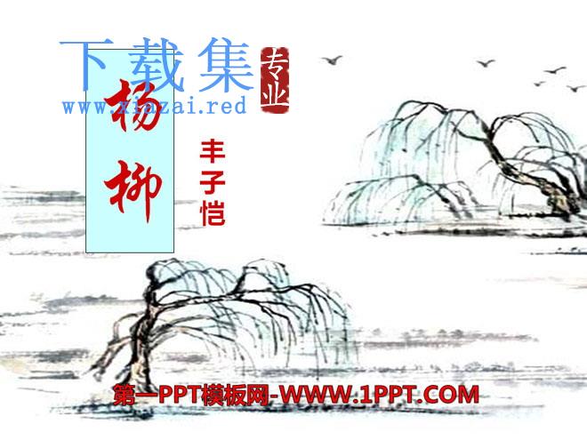 《杨柳》PPT课件2