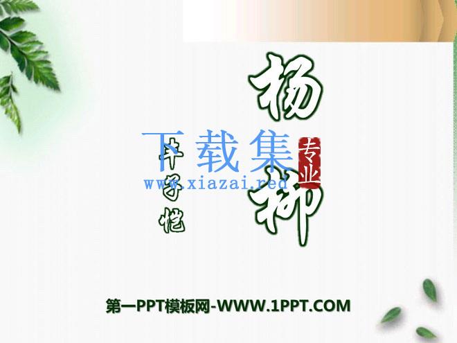 《杨柳》PPT课件3