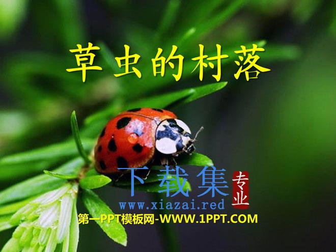 《草虫的村落》PPT课件下载8