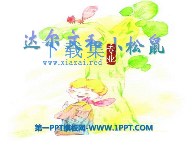《达尔文和小松鼠》PPT课件