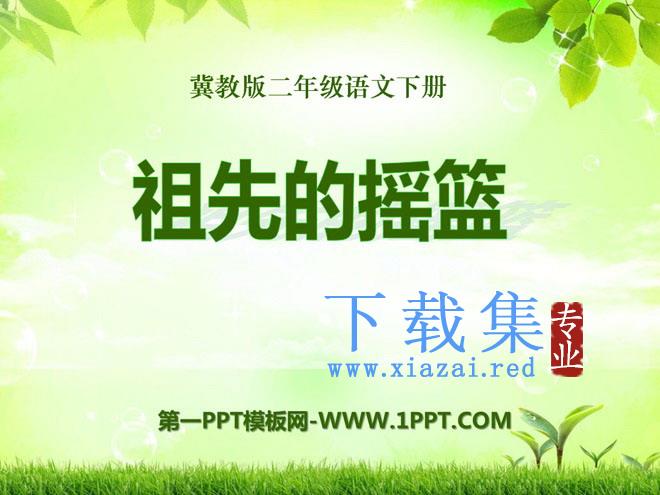 《祖先的摇篮》PPT课件9