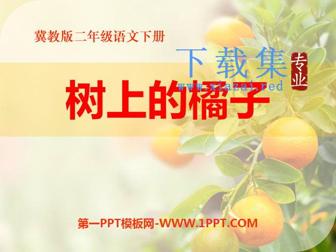 《树上的橘子》PPT课件2