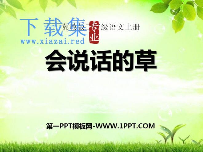 《会说话的草》PPT课件2