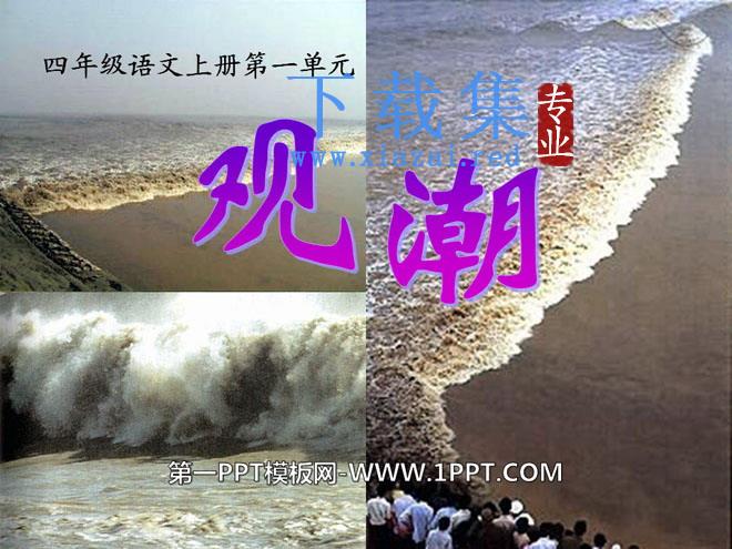 《观潮》PPT课件8
