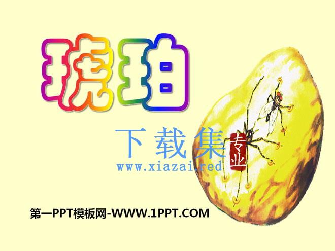 《琥珀》PPT课件4