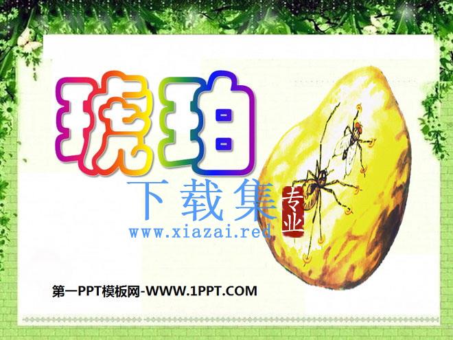 《琥珀》PPT课件5