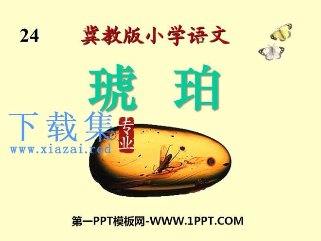 《琥珀》PPT课件6