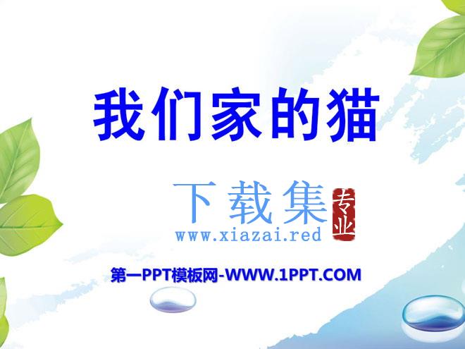 《我们家的猫》PPT课件3