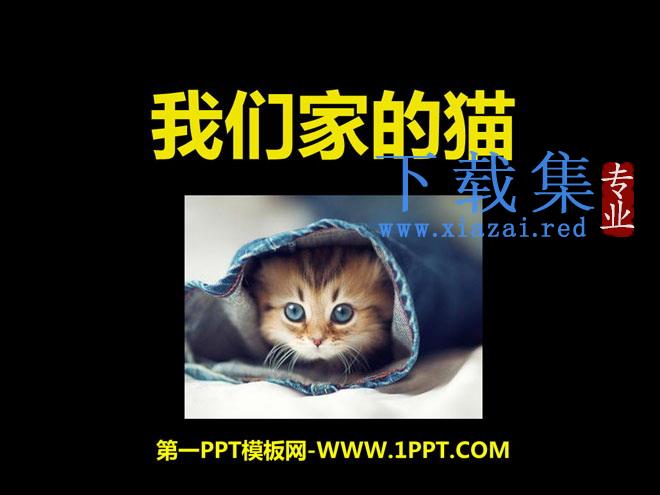 《我们家的猫》PPT课件5