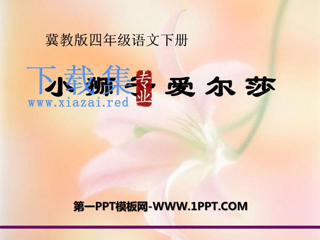 《小狮子爱尔莎》PPT课件2
