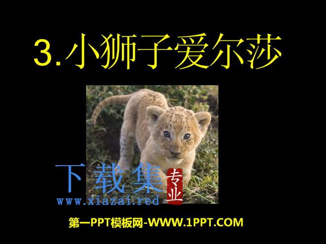 《小狮子爱尔莎》PPT课件3