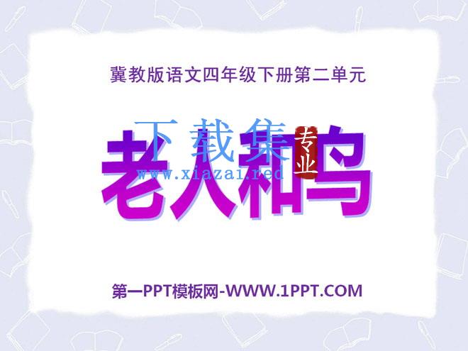 《老人和鸟》PPT课件5