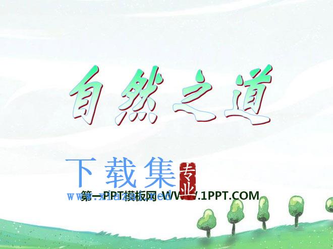《自然之道》PPT课件8