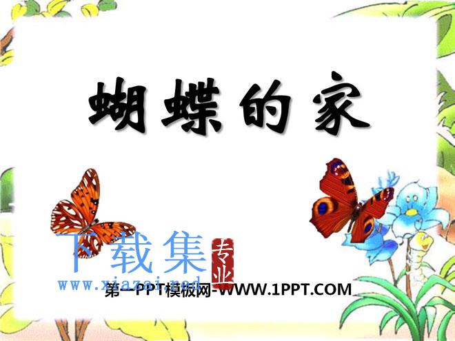 《蝴蝶的家》PPT课件4