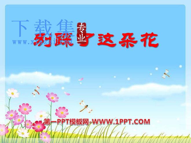 《别踩了这朵花》PPT课件3