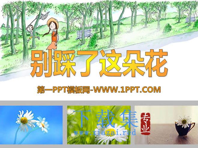 《别踩了这朵花》PPT课件5