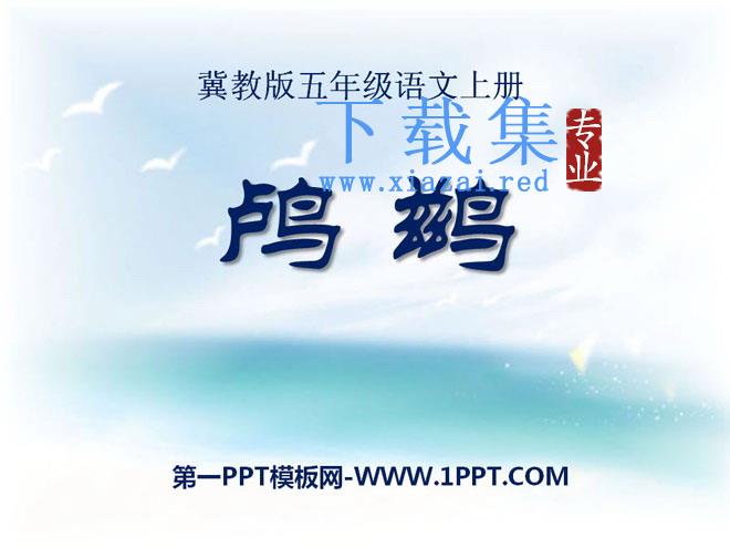 《鸬鹚》PPT课件