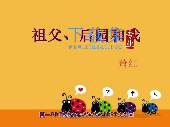 《祖父·后园·我》PPT课件