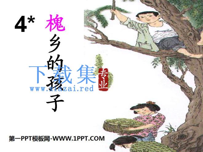 《槐乡的孩子》PPT课件