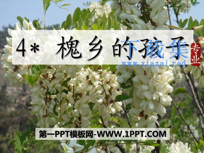 《槐乡的孩子》PPT课件2