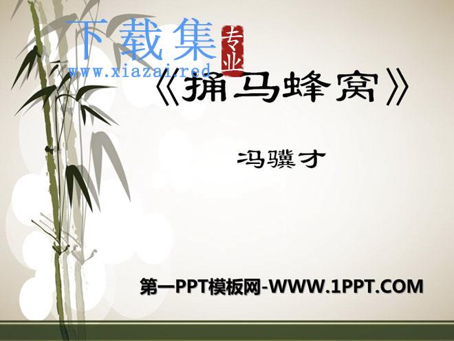 《捅马蜂窝》PPT课件3