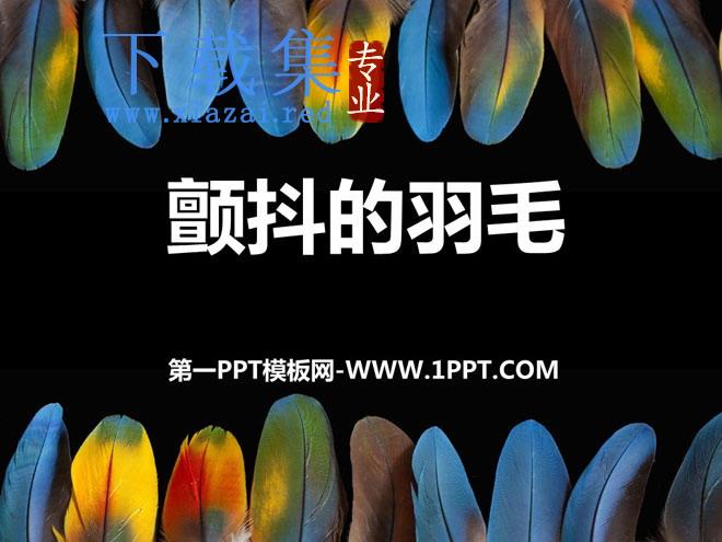《颤抖的羽毛》PPT课件