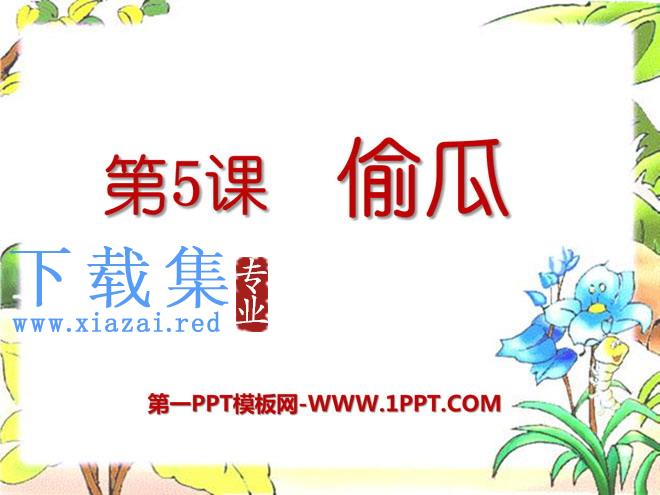《偷瓜》PPT课件3