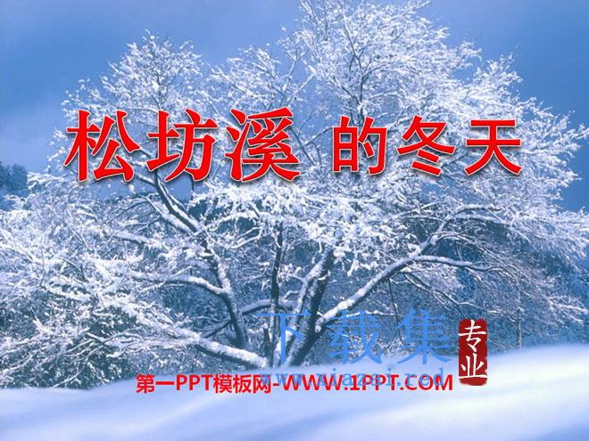 《松坊溪的冬天》PPT课件4