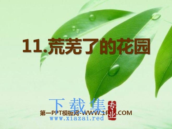 《荒芜了的花园》PPT课件
