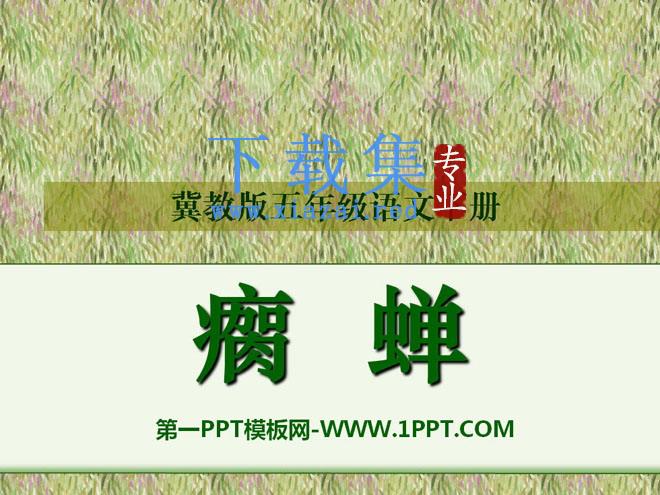 《瘸蝉》PPT课件3