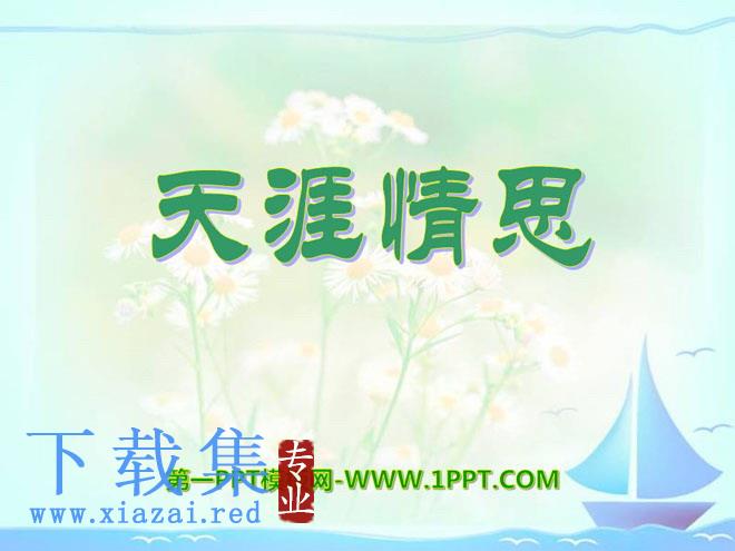 《天涯情思》PPT课件