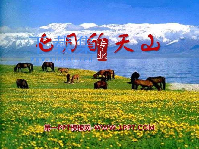 《七月的天山》PPT课件13