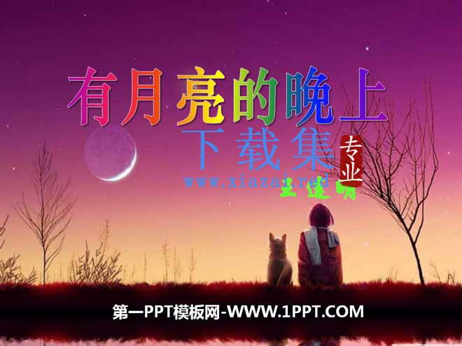《有月亮的晚上》PPT课件3