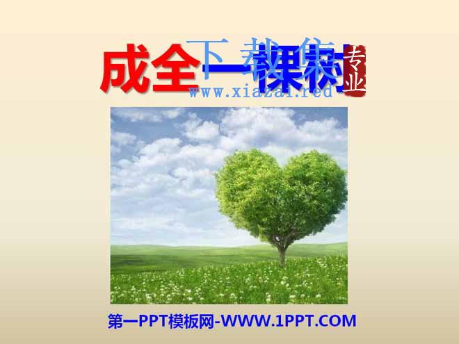 《成全一棵树》PPT课件2