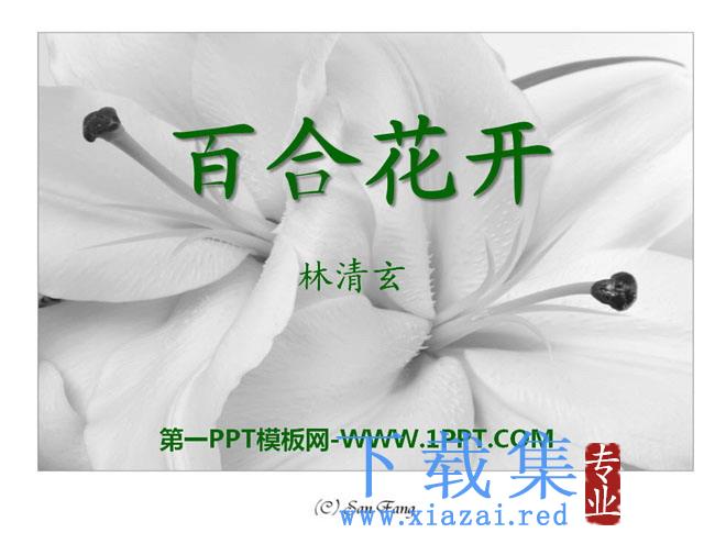 《百合花开》PPT课件