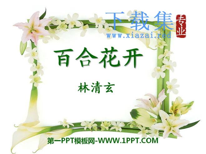 《百合花开》PPT课件3
