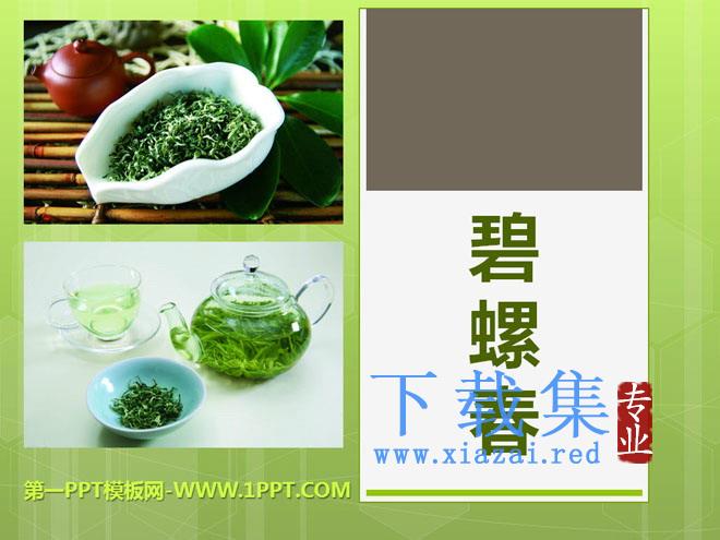 《碧螺春》PPT课件