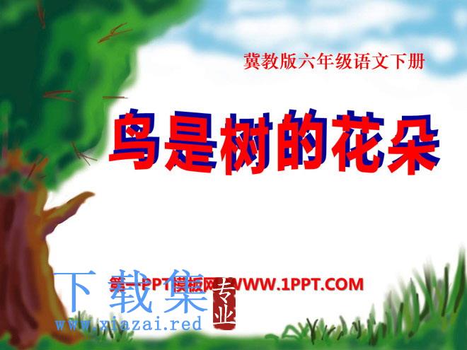 《鸟是树的花朵》PPT课件3