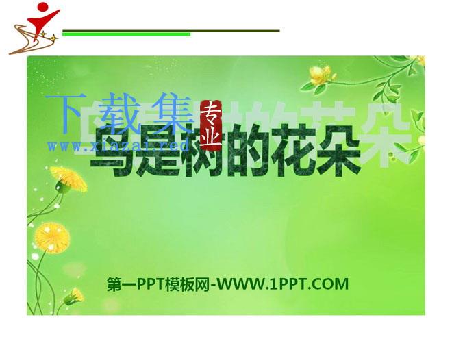 《鸟是树的花朵》PPT课件4