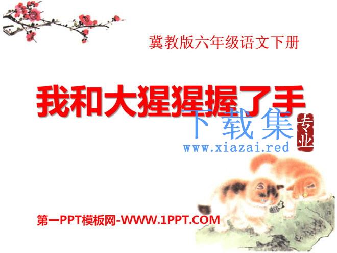 《我和大猩猩握了手》PPT课件