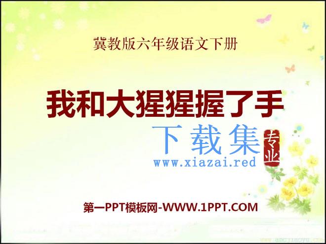 《我和大猩猩握了手》PPT课件2
