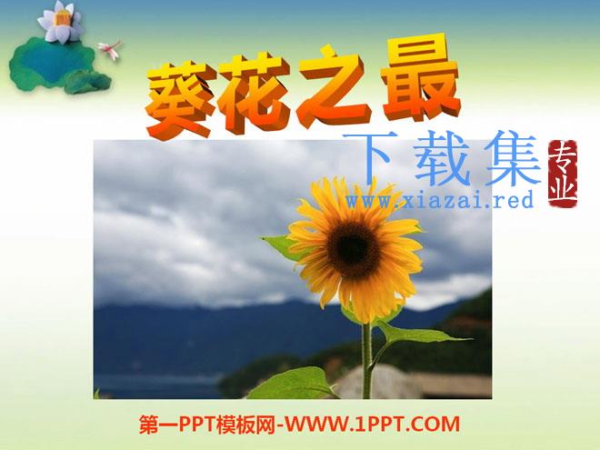 《葵花之最》PPT课件
