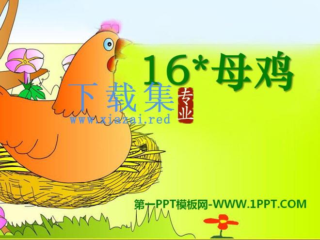 《母鸡》PPT课件9