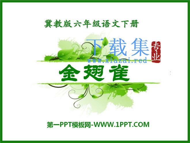 《金翅雀》PPT课件2