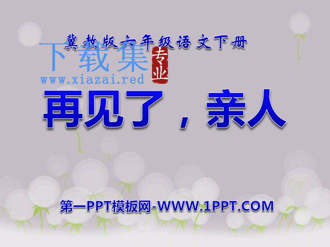 《再见了，亲人》PPT课件10