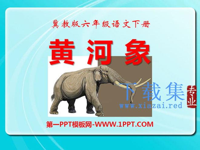 《黄河象》PPT课件3