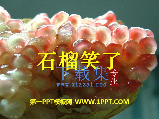 《石榴笑了》PPT课件2