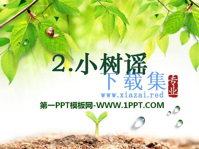 《小树谣》PPT课件